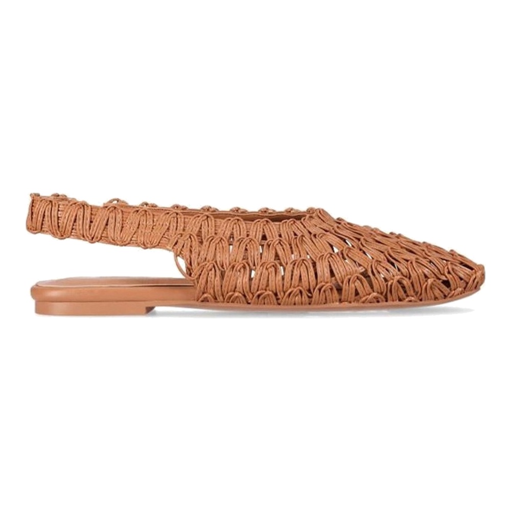 AISHA 01 · Camel/Camel