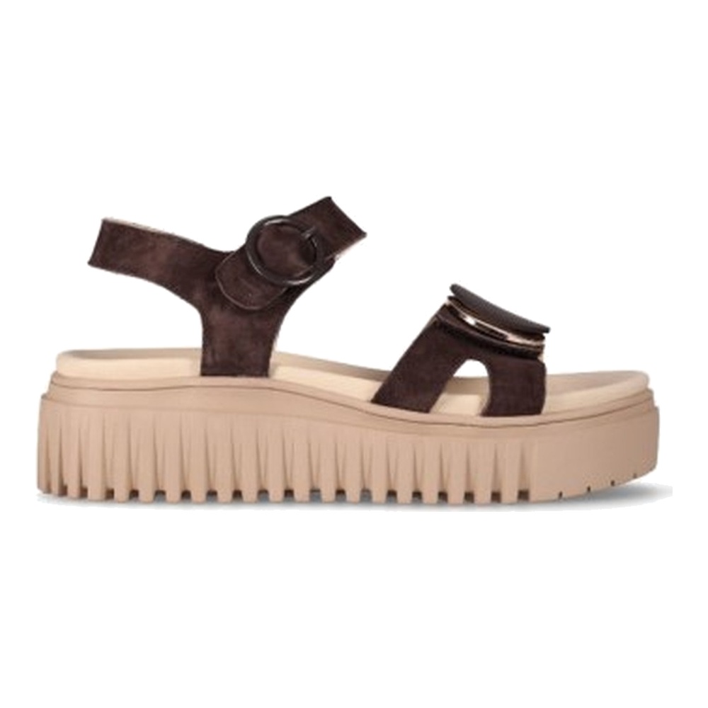 RE OSIRIA 01 · Marron/Brown