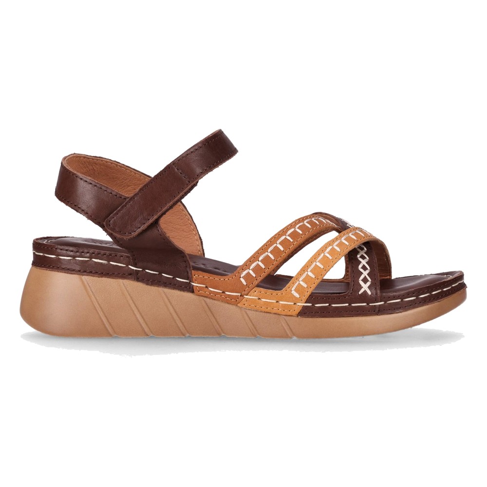 RE LAX 06 · Marron/Brown